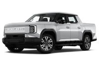 MAXUS E TERRON 9